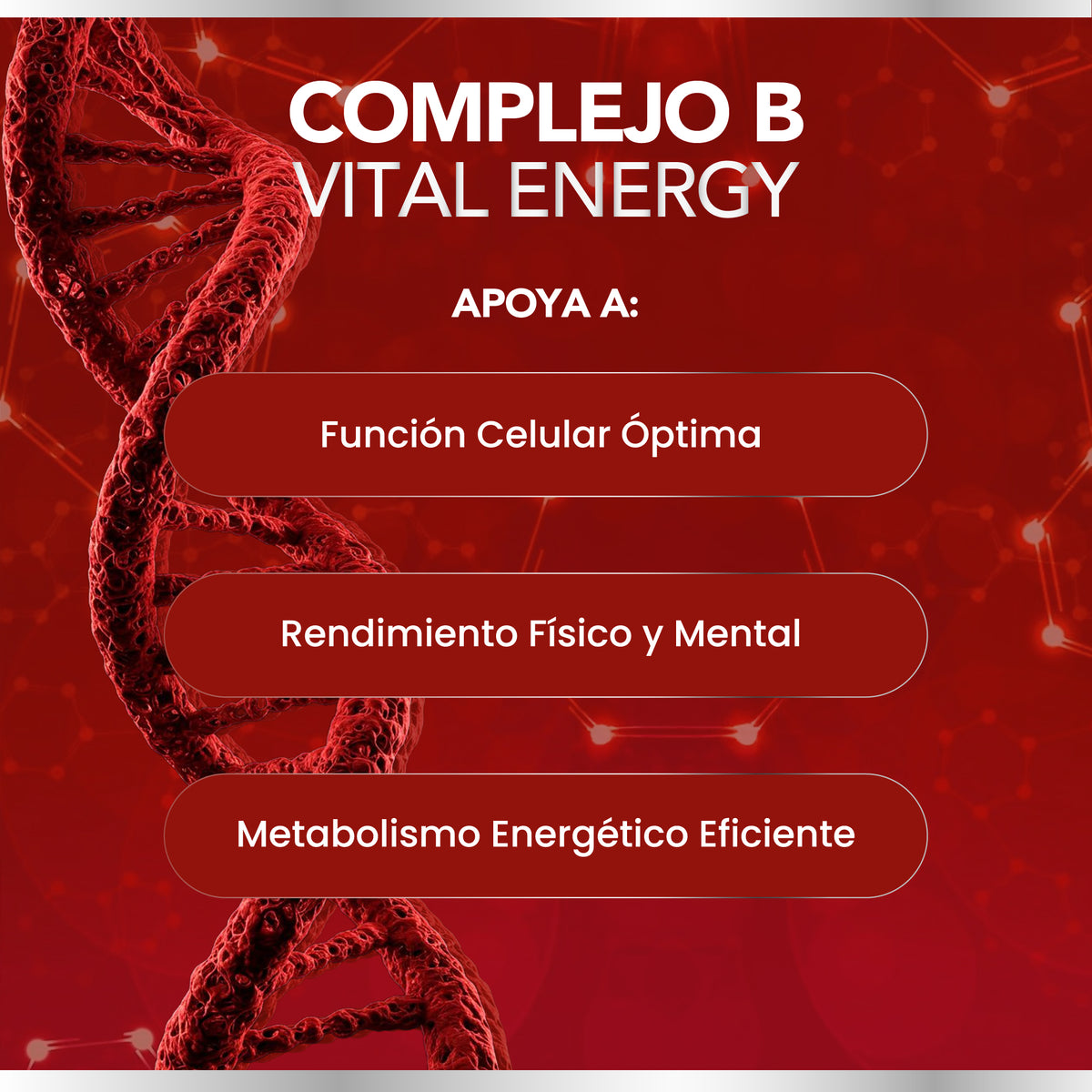 Complejo B Completo | 60 Cápsulas