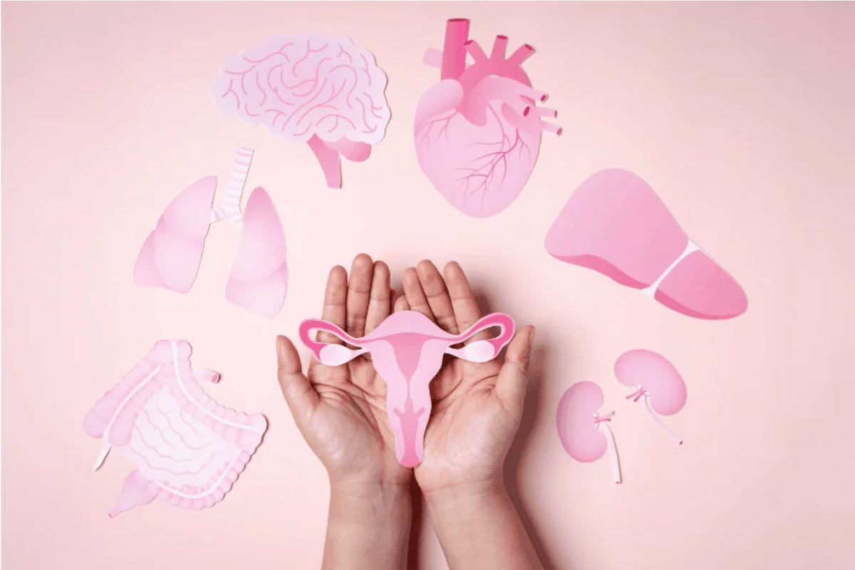 Bienestar hormonal femenino